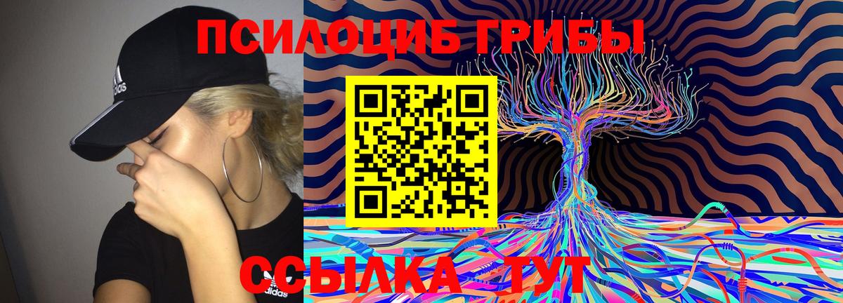 Чайковский  Псилоцибиновые грибы Magic Shrooms  Вход с VPN  Псилоцибиновые грибы MAGIC MUSHROOMS 