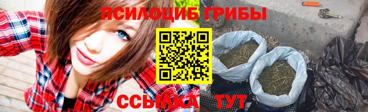 Галлюциногенные грибы GOLDEN TEACHER Чайковский