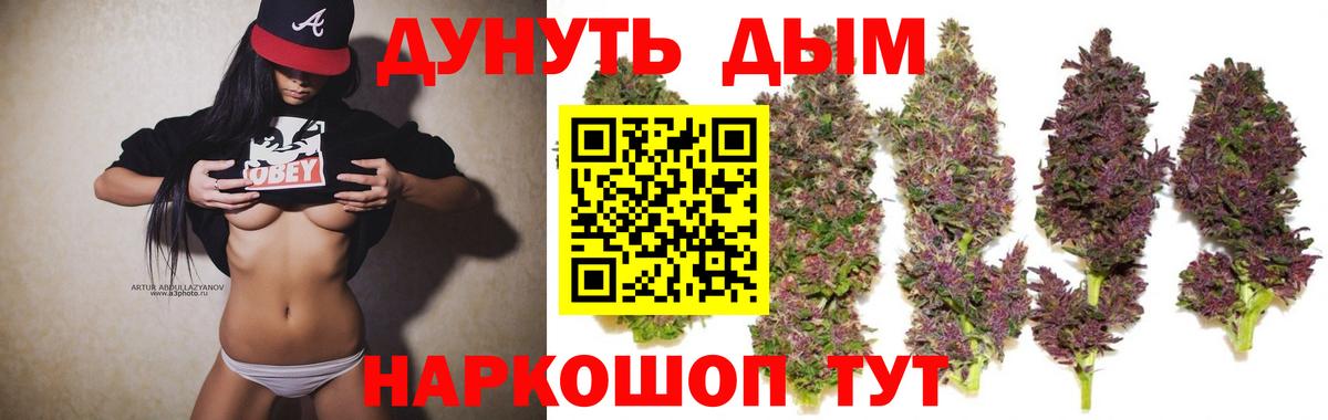 Каннабис конопля Чайковский